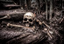 Pet i po milenijuma stara tajna skeleta