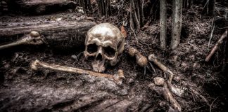 Pet i po milenijuma stara tajna skeleta