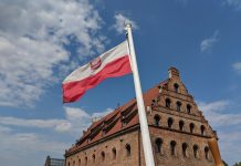 Bivši poljski ministar: Evropa će hteti da iskoristi rusko-američku saradnju