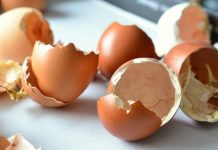 Jaja zaražena salmonelom povlače se iz prodaje u sedam zemalja