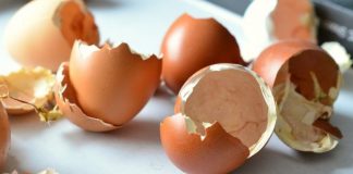 Ljuske jaja svi bacamo, a ne bi trebalo