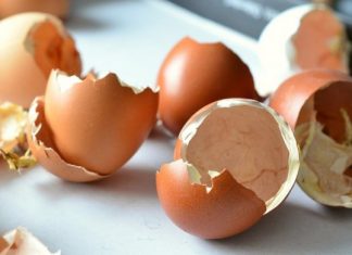 Ljuske jaja svi bacamo, a ne bi trebalo