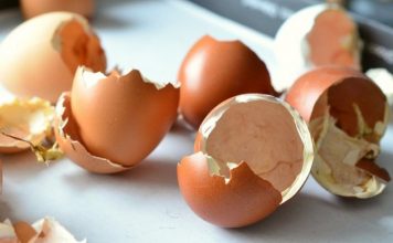 Ljuske jaja svi bacamo, a ne bi trebalo