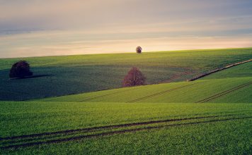 Poljoprivrednici u Srbiji nastavili proteste, ministar poručuje da ultimatumi neće biti prihvaćeni