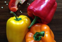 Ovih pet namirnica su odlični čuvari imuniteta