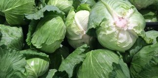 Ovo povrće bi moglo da bude najveći hit zdrave ishrane u 2026. godini