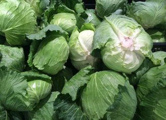 Ovo povrće bi moglo da bude najveći hit zdrave ishrane u 2026. godini