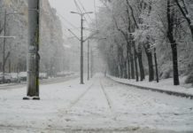 Ledeni dani u Srbiji: Vanredna situacija u devet opština, hiljade domaćinstava bez struje