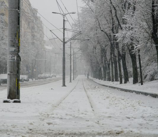 Ledeni dani u Srbiji: Vanredna situacija u devet opština, hiljade domaćinstava bez struje
