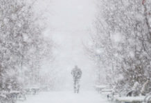 „Zimska idila“ u Nemačkoj (VIDEO)