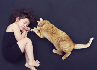 Kako razumeti mačku? Obratite pažnju na njen rep