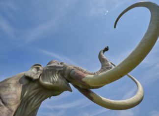 Otkrivene građevine od kostiju mamuta