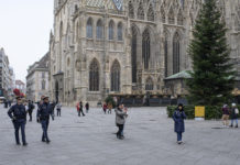 Austrija: Predstoji velika izmena Zakona o državljanstvu koja donosi olakšice