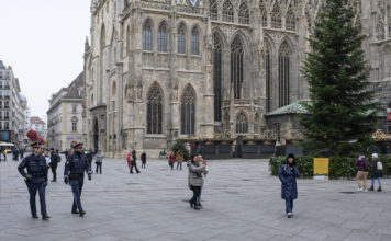 Austrija: Predstoji velika izmena Zakona o državljanstvu koja donosi olakšice