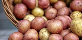 Da li ste znali da vaše omiljeno povrće podiže šećer u krvi brže od čokolade