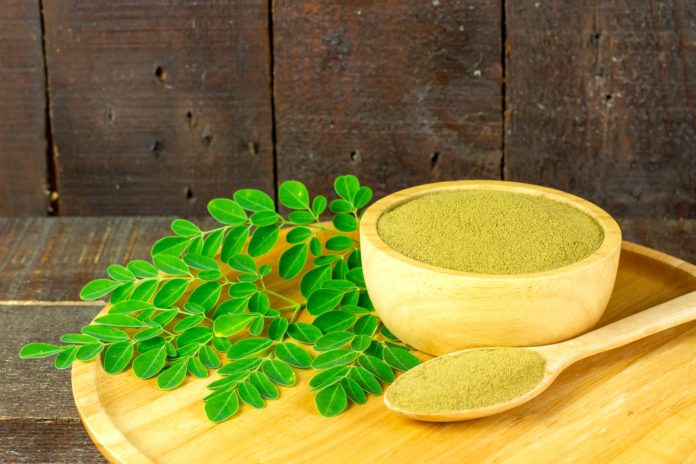 moringa-pixabay.com_
