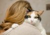 Sankcije i za mačke iz Rusije