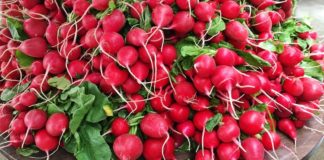 Ovo povrće je puno vitamina, a najbolje je u proleće