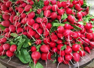 Ovo povrće je puno vitamina, a najbolje je u proleće