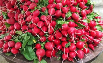 Ovo povrće je puno vitamina, a najbolje je u proleće