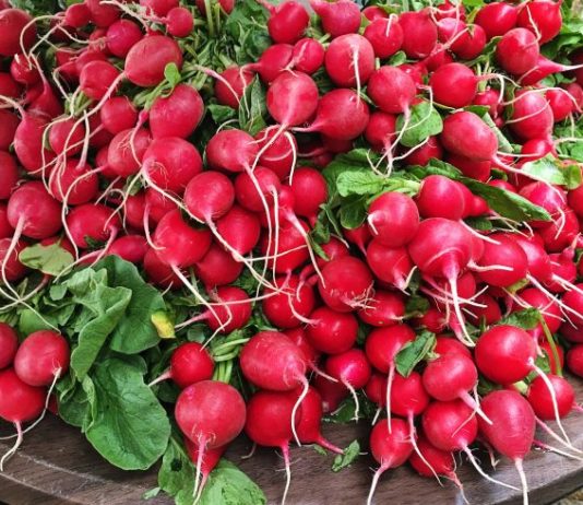 Rotkvice vam uvek uvenu za dva dana