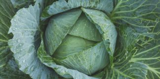 Namirnice koje jačaju kosti bolje od mleka