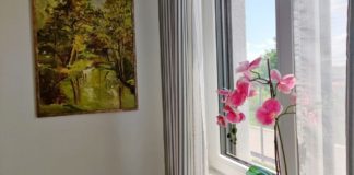 Kako da sobno cveće izgleda zdravo