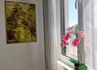 Kako da sobno cveće izgleda zdravo