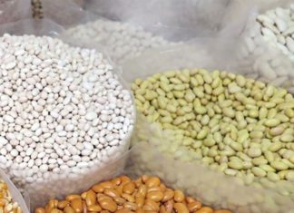 S potapanjem pasulja je gotovo: Trik od 10 dinara omekšava zrna za 30 minuta