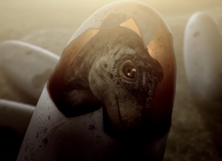 Otkriven fosil jednog od najmanjih dinosaurusa