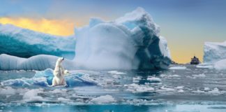 Loše vesti stižu sa Arktika