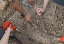 Pronađeni ostaci viteza sa retkim genetskim poremećajem