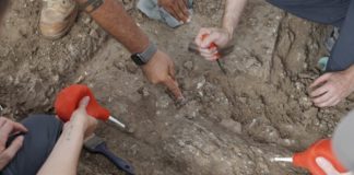 Pronađeni ostaci viteza sa retkim genetskim poremećajem