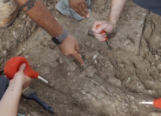 Pronađeni ostaci viteza sa retkim genetskim poremećajem