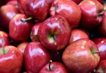 Svi jedemo jabuke pogrešno: Nutricionisti otkrivaju najbolji trenutak za nju kako biste podigli energiju