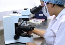 Ruski naučnici razvili model za predviđanje starenja imunog sistema