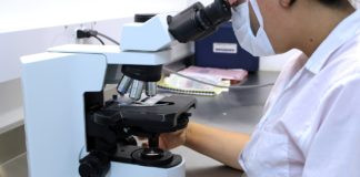 Ruski naučnici razvili model za predviđanje starenja imunog sistema