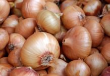 Kako da luk što duže ostane svež?