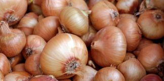 Kako da luk što duže ostane svež?