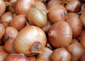 Zašto se na Badnje veče seče luk na 12 delova