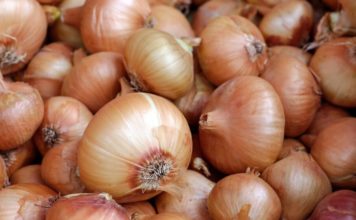 Kako da luk što duže ostane svež?