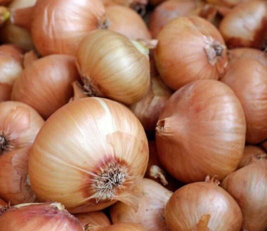 Zašto se na Badnje veče seče luk na 12 delova