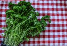 Zbog čega bi peršun trebalo da bude deo svakodnevne ishrane