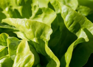 Ovo je najopasnija namirnica u marketima