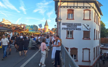 Kad ćevapčići sretnu šljivovicu