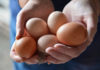 Tržište jaja u Americi potresa novi problem
