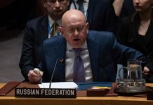 Američka “mačka u džaku”