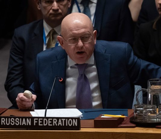 Američka “mačka u džaku”