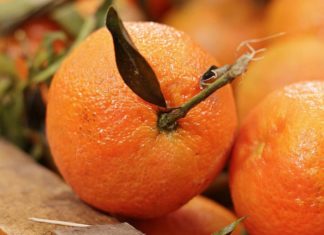 Kada je najbolje jesti pomorandže i zašto su zdrave?