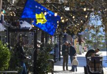 Petrič: Kosovo treba da prestane da bude problem za Evropu